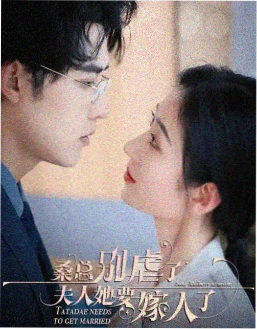 山河故人录古装剧在线观看